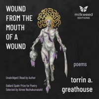 Wound_from_the_Mouth_of_a_Wound