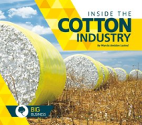 Inside_the_Cotton_Industry